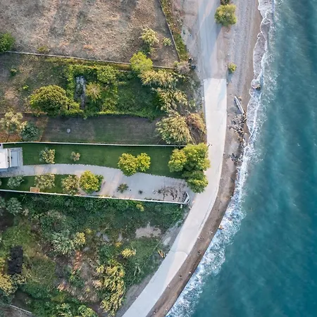 Theosis Signature דיאקופטו