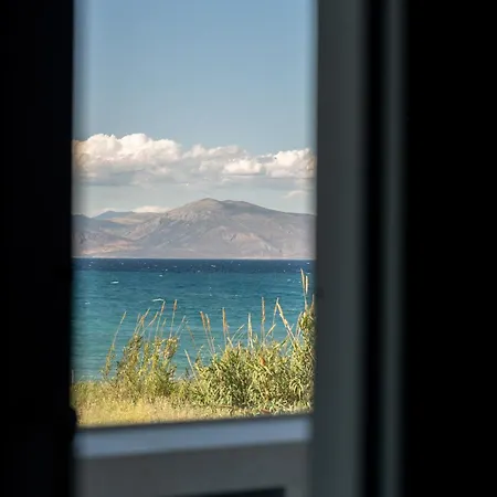 Theosis Signature דירה *