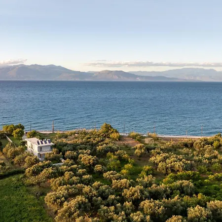 Theosis Signature דירה דיאקופטו