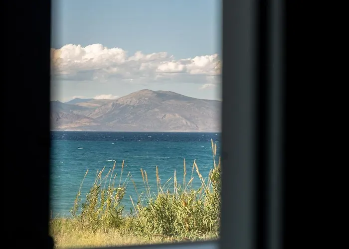 Theosis Signature Appartement *